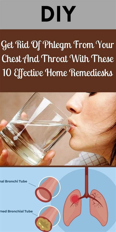 Get Rid Of Phlegm From Your Chest And Throat With These 10 Effective ...