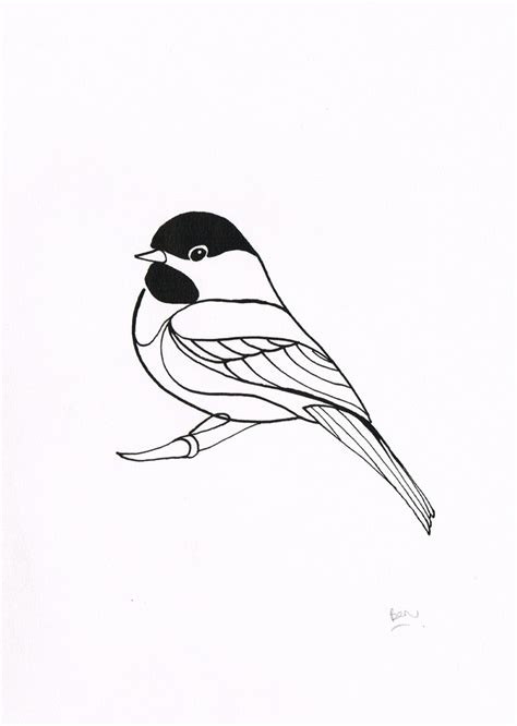 Black Capped Chickadee Drawing at GetDrawings | Free download