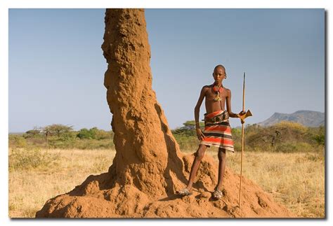 Amazing Animals Pictures: The Architecture of the Termites: The Mound ...