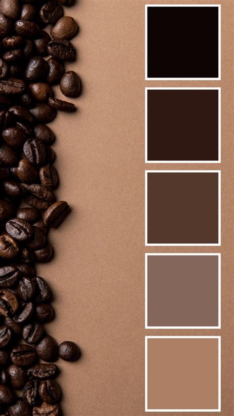 Rich Coffee Bean Color Palette