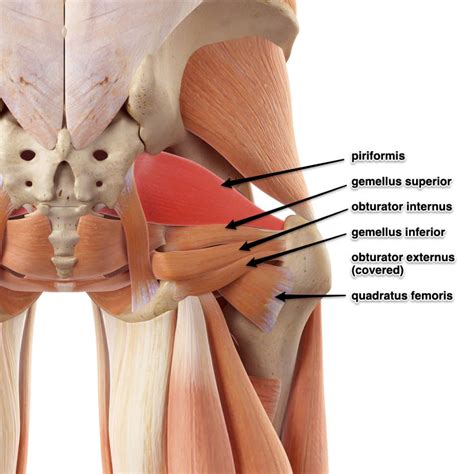 The best hip external rotation exercises on the internet.