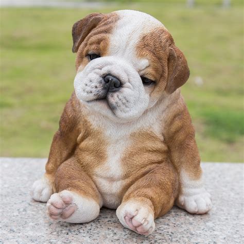 Hi-Line Gift Ltd. Sitting Sleepy Bulldog Puppy Statue & Reviews | Wayfair