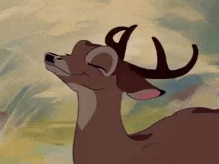 Bambi Yes GIF - Bambi Yes Disney - Discover & Share GIFs