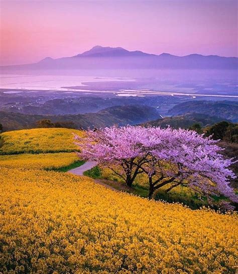 Breathtaking & Beautiful Spring Scenery, Nagasaki Prefecture Japan ...