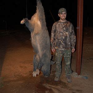 Hog Hunting | AfricaHunting.com