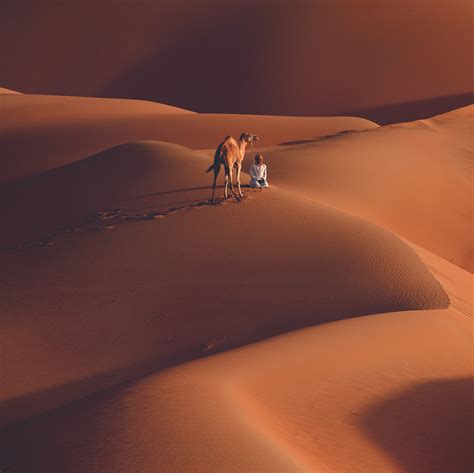 Untitled by Omar Alkendi / 500px