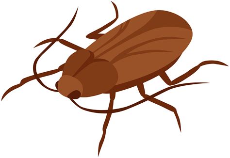 Roach Clipart | Free download on ClipArtMag