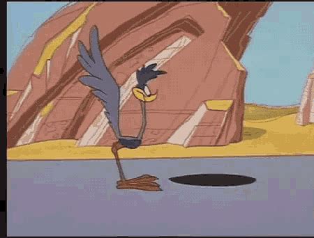 Acme Portable Hole Roadrunner GIF - Acme Portable Hole Roadrunner ...