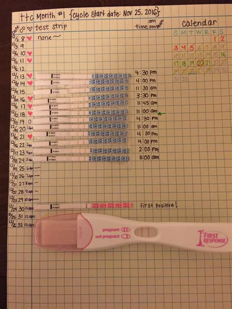 Printable Ovulation Test Strip Chart - Printable Word Searches