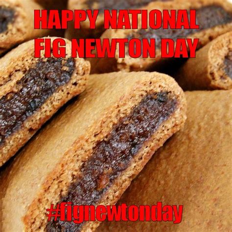 January 16, 2015 - National Fig Newton Day