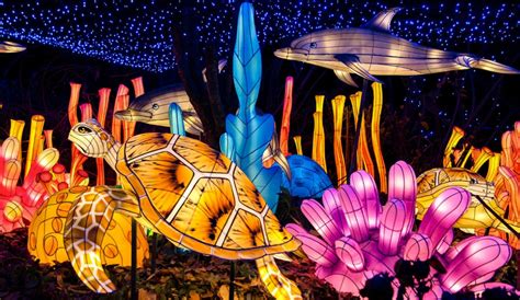 The Bronx Zoo's Dazzling Holiday Lights Are Returning Soon To NYC