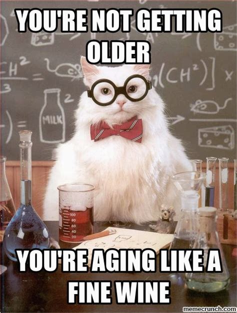 Champagne Birthday Meme Happy Birthday Meme Wine Bing Images | BirthdayBuzz