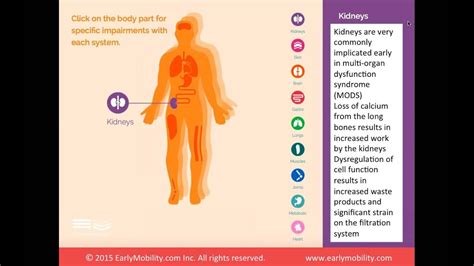 The Harmful Effects of Immobility - YouTube