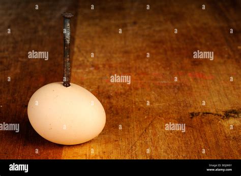 Eggshell nail hi-res stock photography and images - Alamy