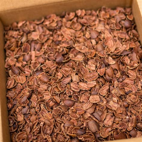 Pecan Shells - 15 lb Box - BBQ Smoking Fuel – Smokin' Pecan