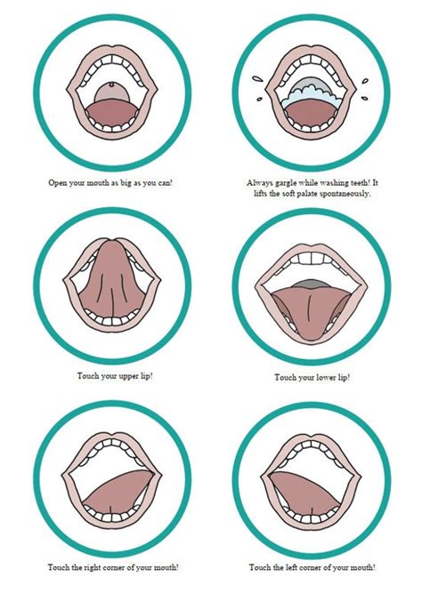 Tongue Exercises | ubicaciondepersonas.cdmx.gob.mx