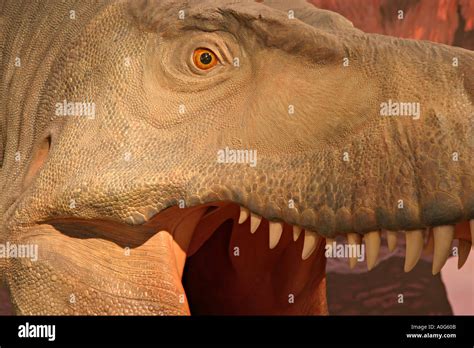 T Rex Center Eastend Saskatchewan Stock Photo - Alamy