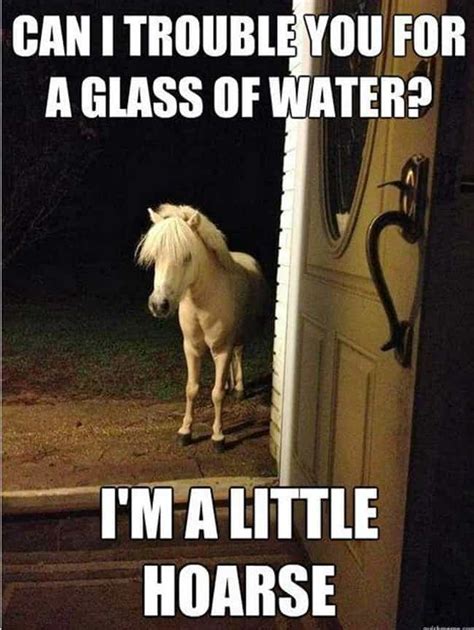 Horse Puns | 17 Funny Horse Memes That'll Make You Neigh