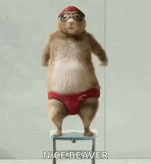 Happy Beaver GIFs | Tenor