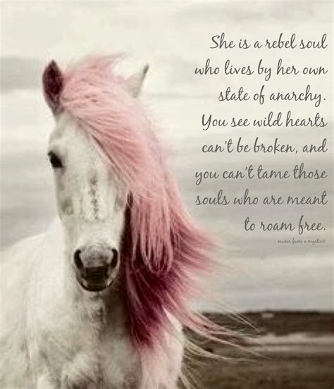 Pin on Muses From A Mystic | Horse quotes, Wild horses quotes, Horse ...