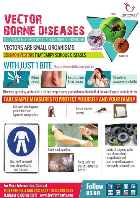 Tips on Vector borne diseases