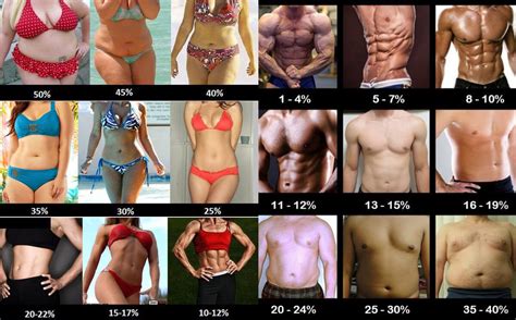 How to Measure Body Fat Percentage Correctly | Tasteaholics