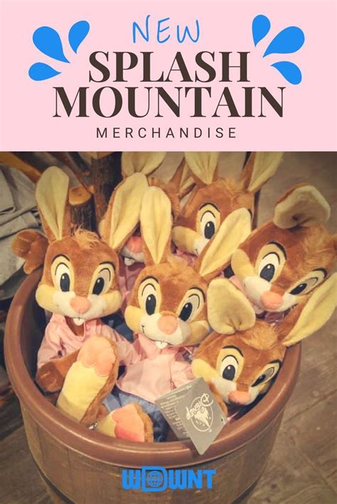 PHOTOS: New Splash Mountain Merchandise Plunges into Magic Kingdom ...