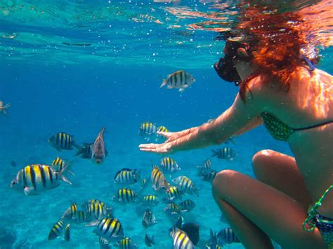 Cozumel Palancar Snorkeling Tour - Cozumel Cruise Excursions