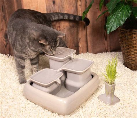 Cat water fountains - Ceramic drinking fountain for pets US Dog Water ...