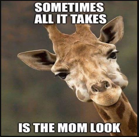 Pin by Amanda Stratton on Being a Mom | Funny animal jokes, Funny ...