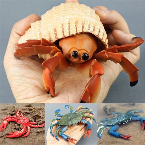 Travelwant Live Pet Hermit Crabs, Large Hermit Crab Shells, Encourages ...