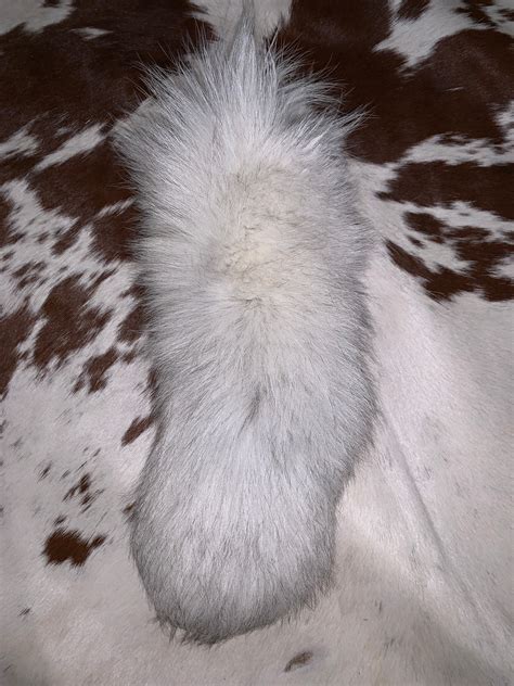 White Fox Tail | Etsy