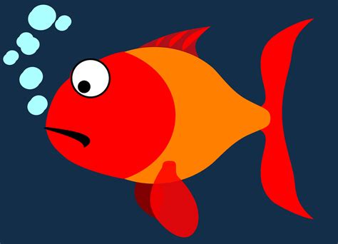 Free Orange Fish Vector Art - Download 3,415+ Orange Fish Icons ...