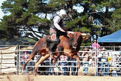 Neerim APRA Rodeo 2019 - Highlights BR Action Photography