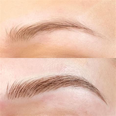 Natural Eyebrow Microblading in 2023 | Microblading eyebrows, Blonde ...