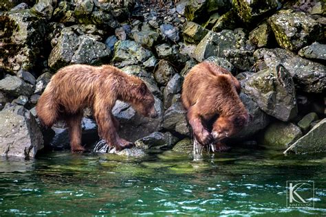 Rainbow Glacier Adventures | Haines and Skagway Alaska Tours