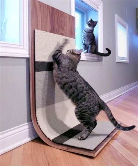 Modern Bent Plywood Cat Scratcher | Cat scratcher, Modern cat furniture ...