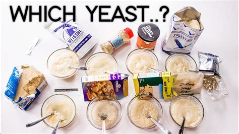 Types of Yeast in India - Dry, Active Instant and Fresh Yeast ...