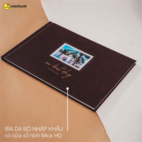 Album lồng ảnh mỹ thuật