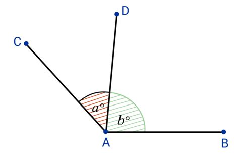 What are Adjacent Angles? [Sample Questions]