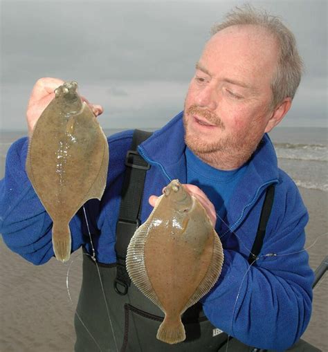 Shore fishing for dabs | Sea Anglers Guide