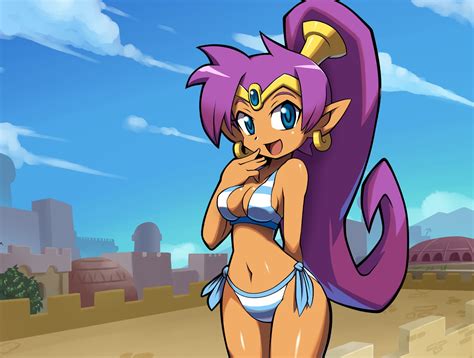 Review: Shantae: Half-Genie Hero Ultimate Edition (Nintendo Switch ...