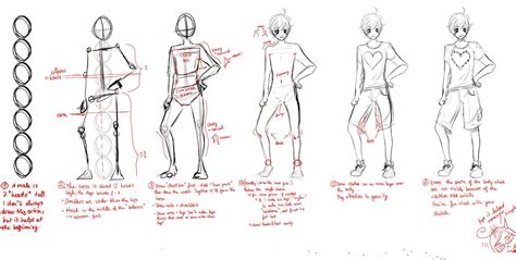 How To Draw Anime Male Body Proportions