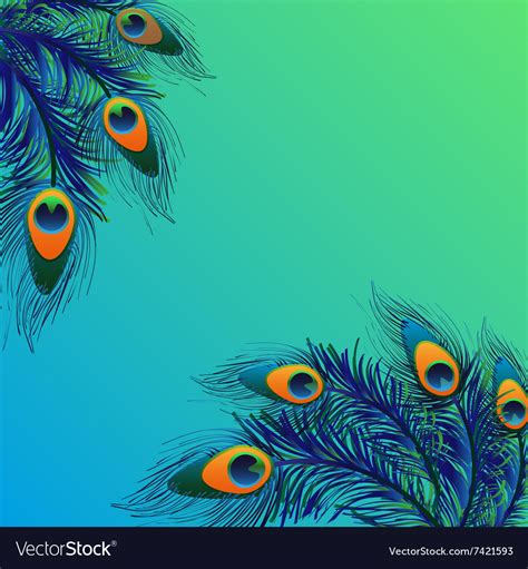 Peacock Background