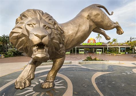 Rex the Lion Balances on One Foot | Fleet Science Center