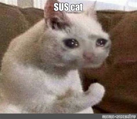 Meme: "SUS cat" - All Templates - Meme-arsenal.com