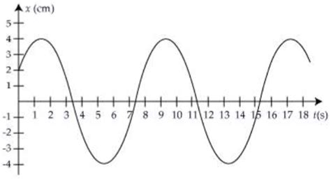 Simple Harmonic Motion Graphs - shinbal web