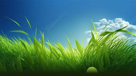 Grass Nature Green Grass Powerpoint Background For Free Download ...