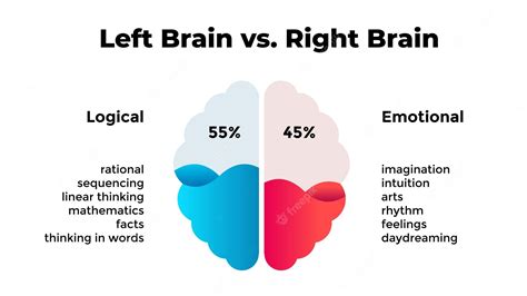 Premium Vector | Left and right hemispheres of human brain Logical vs ...