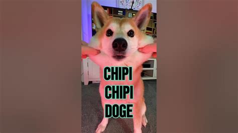 Chipi Chipi Chapa Chapa Doge ULTIMATE MEME MASHUP 4 #doge # ...